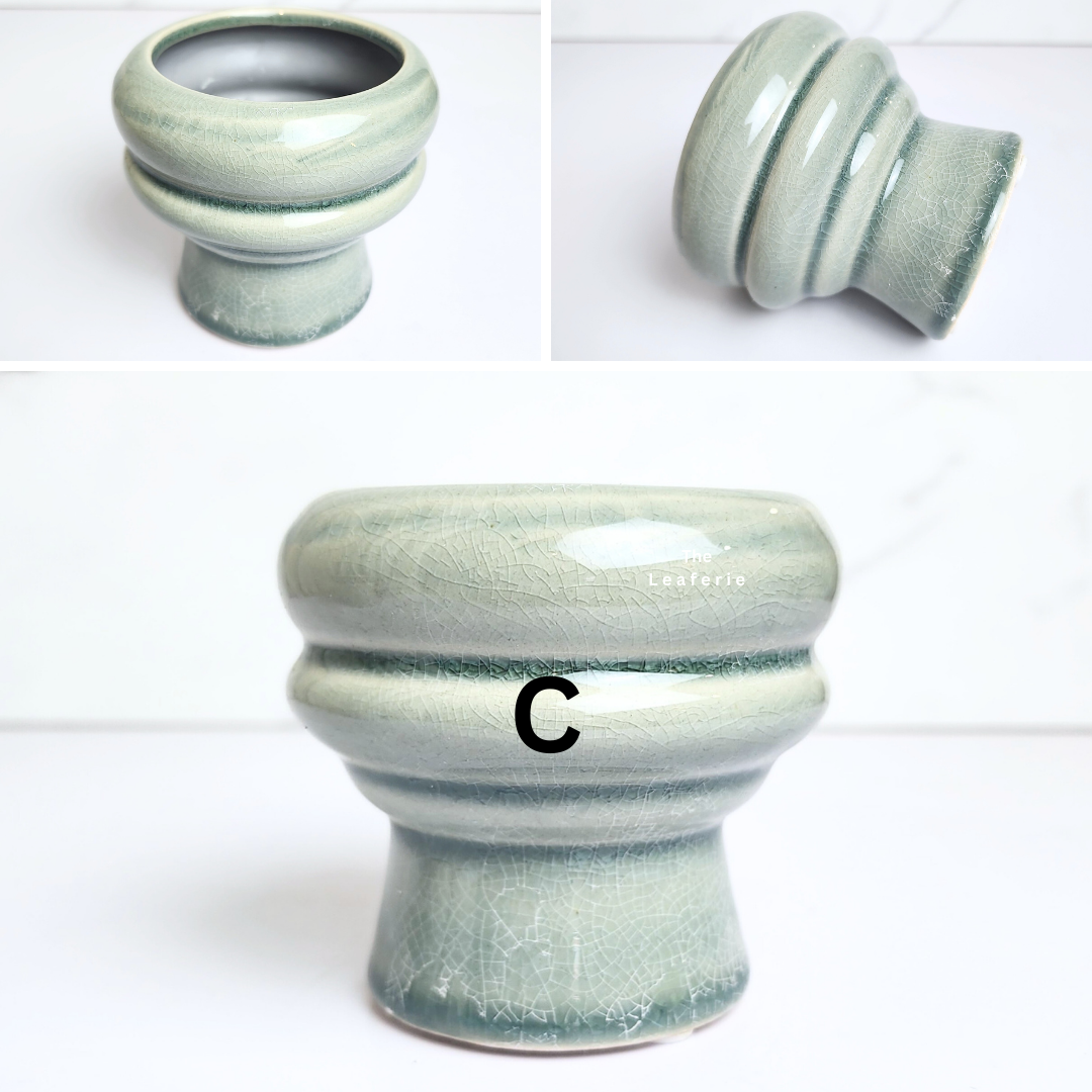 Petit Flowerpots (Series 16)