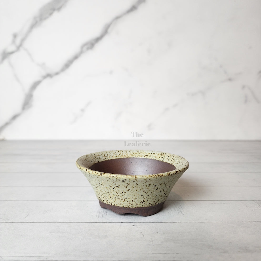 Petit Bonsai Pot (Series 12)