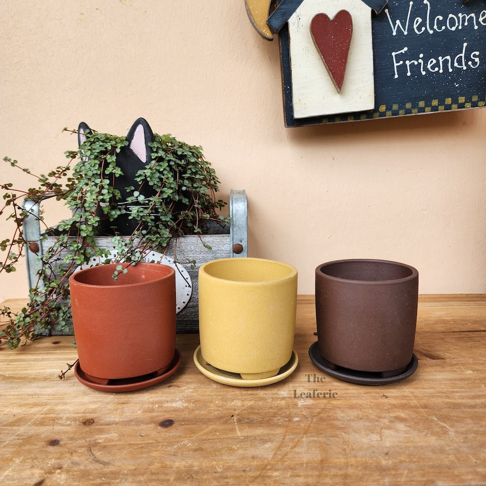 Noemie Mini Bonsai Pot (Series 1)