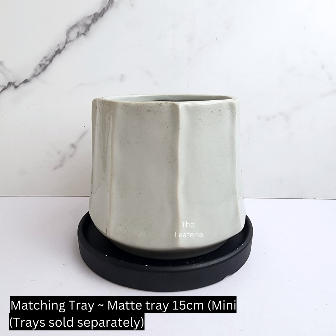 Lilvie Flowerpot (2 sizes)