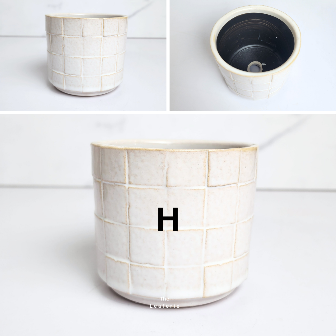 Petit Flowerpots (Series 15)