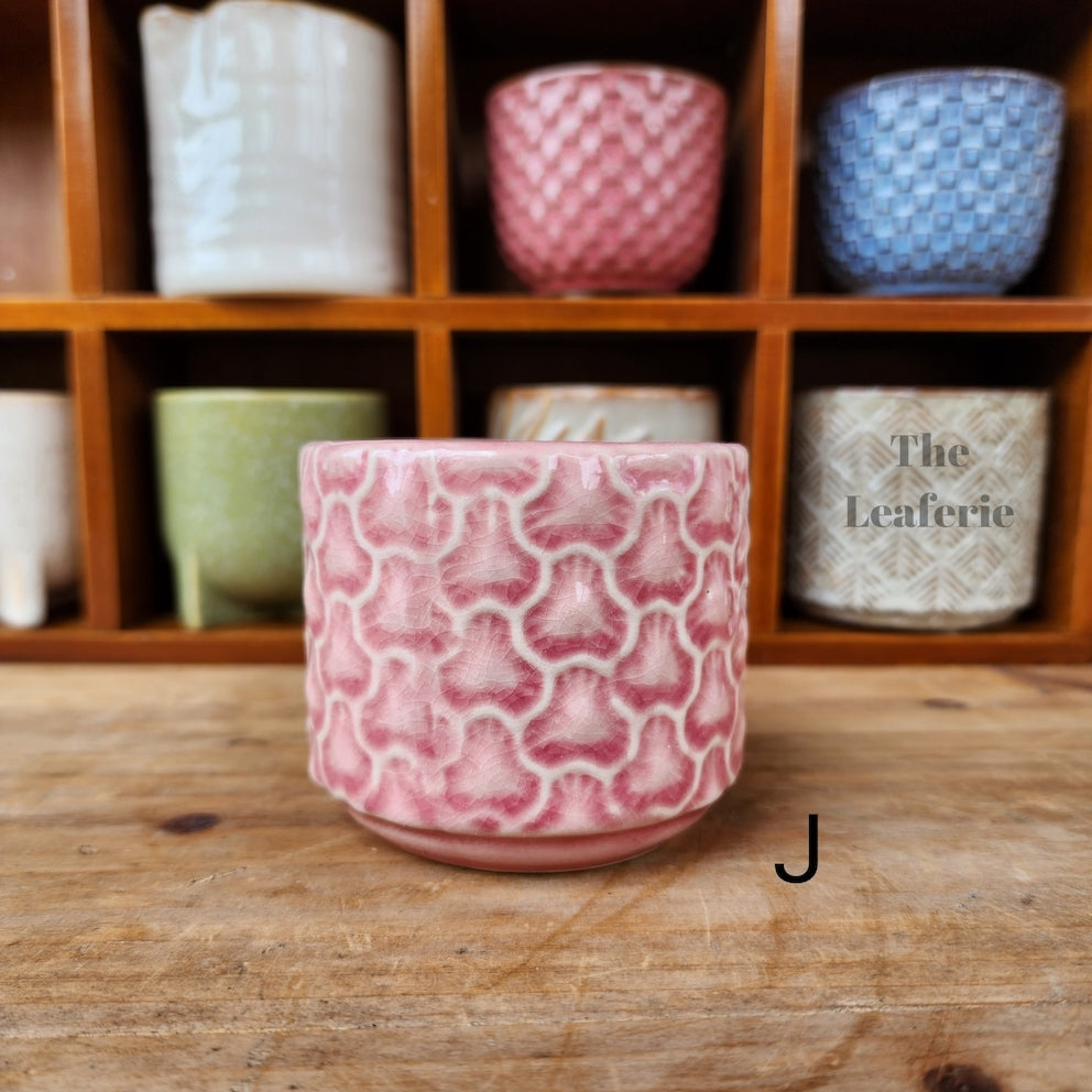 Petit Flowerpots (Series 7)