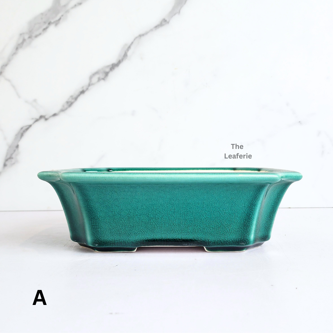 Bonsai Tally (Series 11) Flowerpot