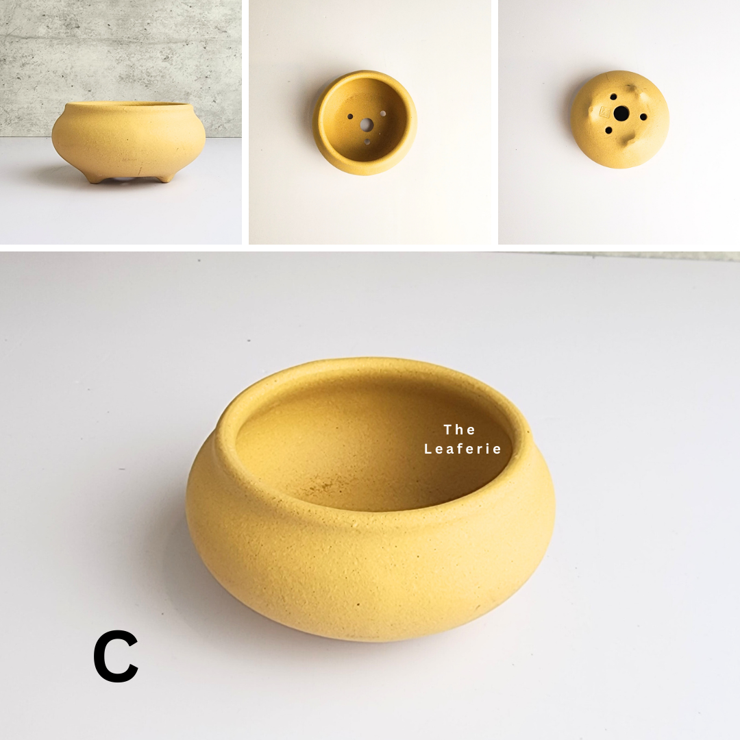 Bonsai Flowerpot (Series 30)