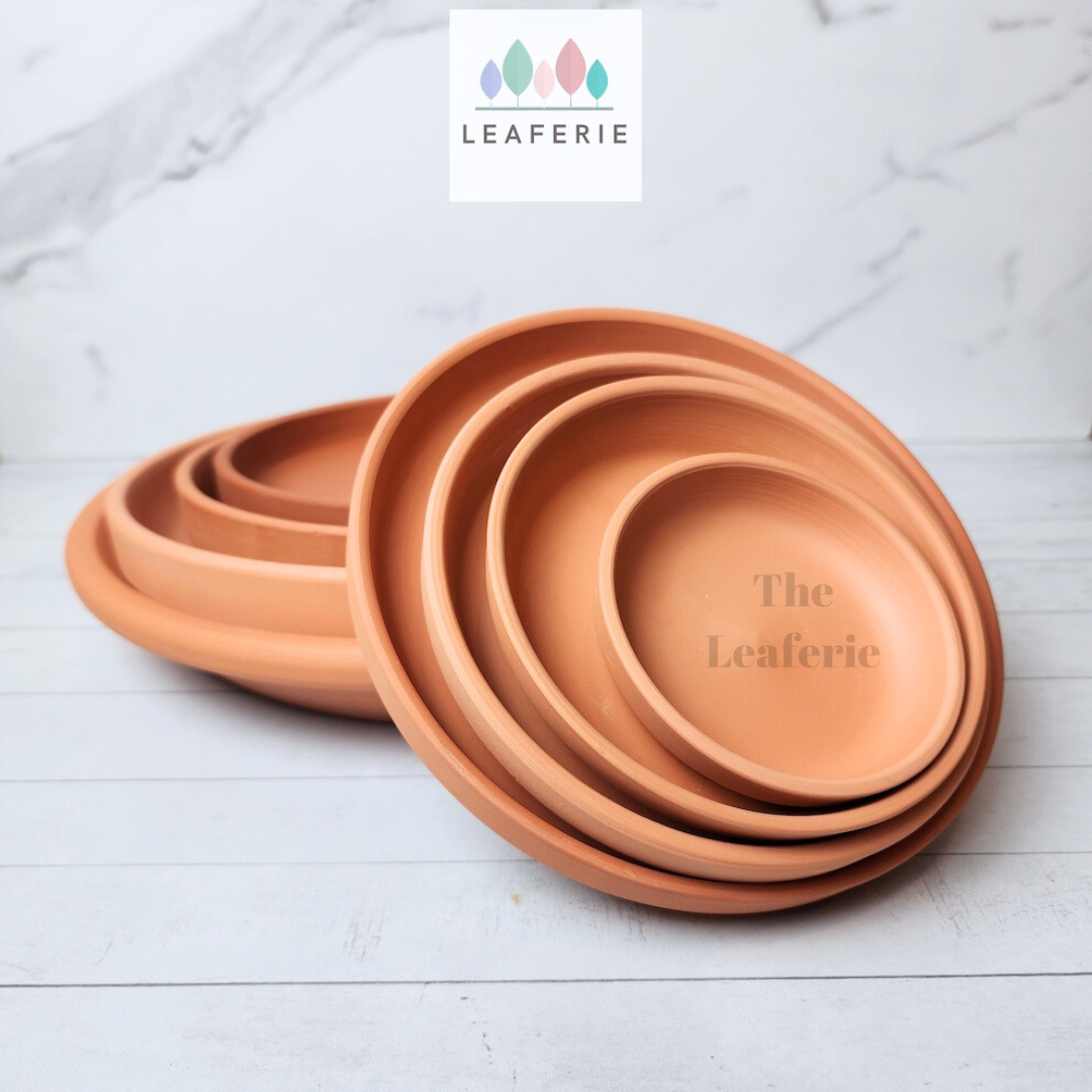 Terracotta Round Trays (7 Sizes)