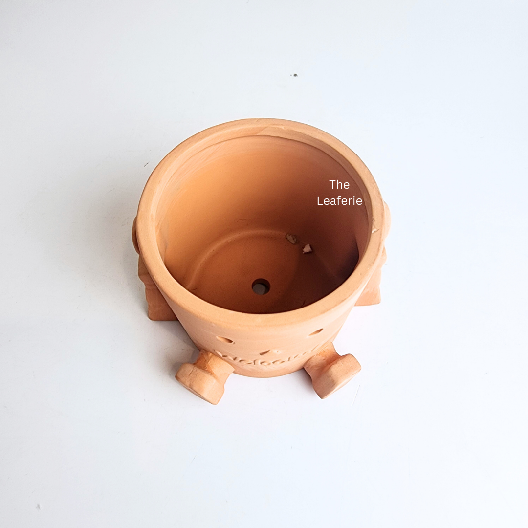 Yandel Terracotta Flowerpot ( 2 designs)