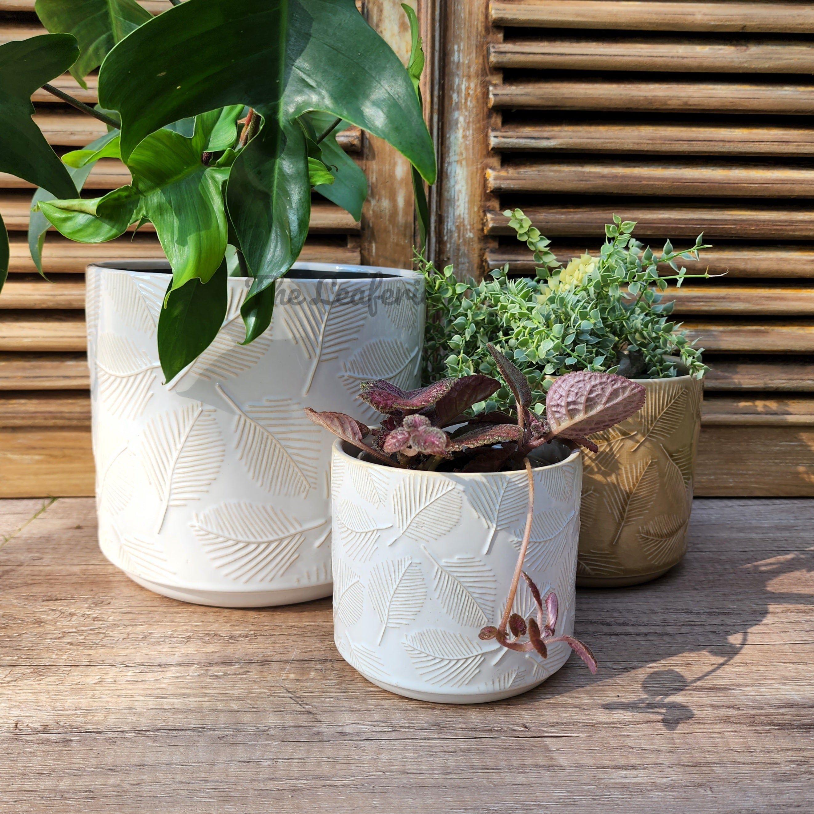 Tavo Flowerpot