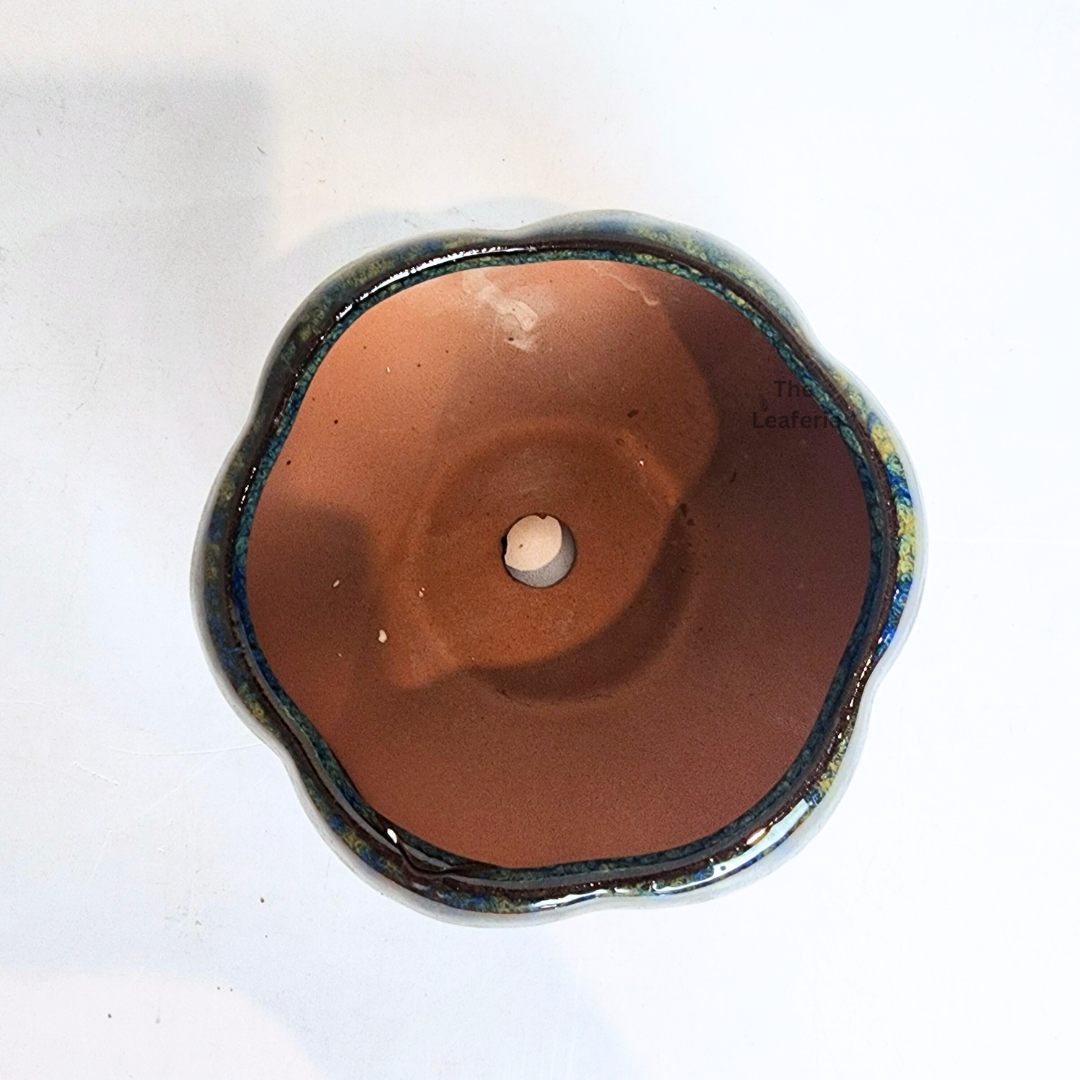 Bonsai Flowerpot (Series 64)