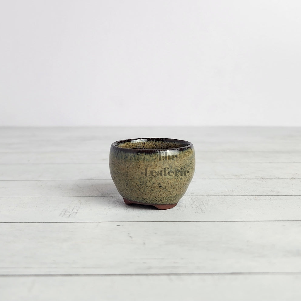 Petit Bonsai Pot (Series 8)