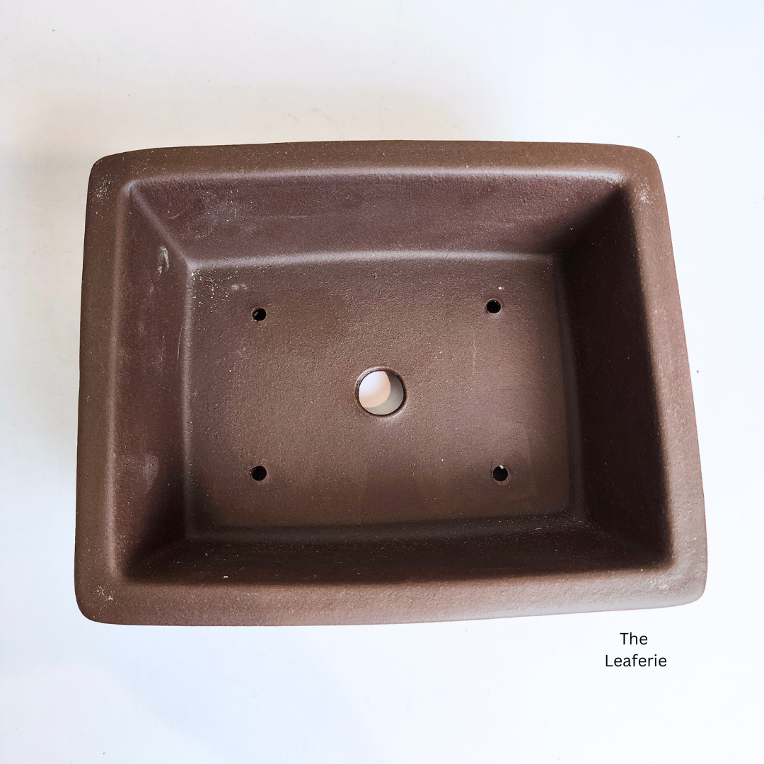 Bonsai Rectangular (Series 3) Flowerpot