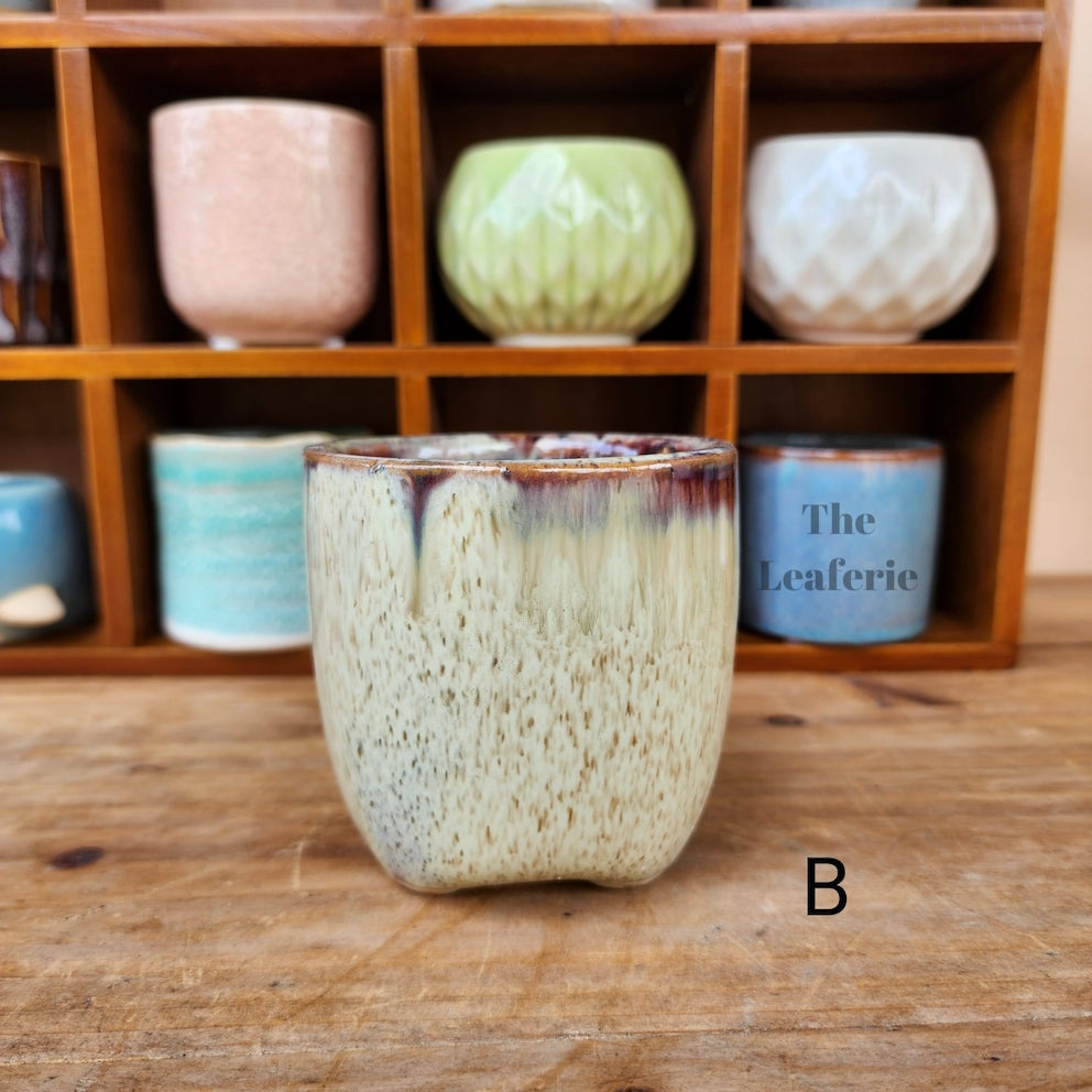 Petit Flowerpots (Series 6)