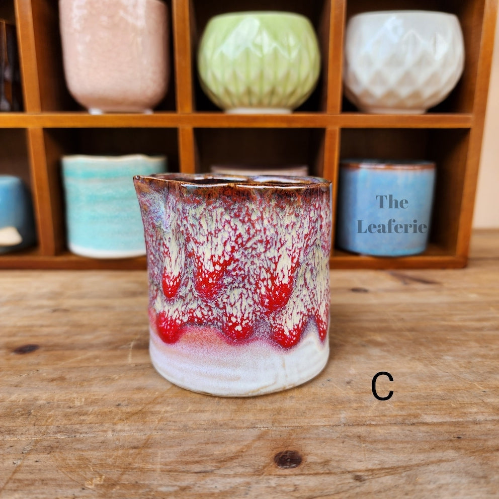 Petit Flowerpots (Series 6)