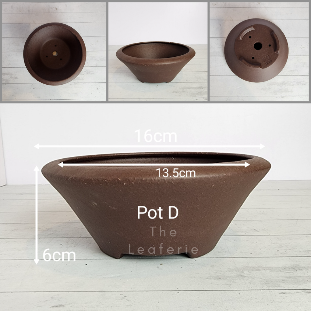 Tally Bonsai Flowerpot (Series 1)