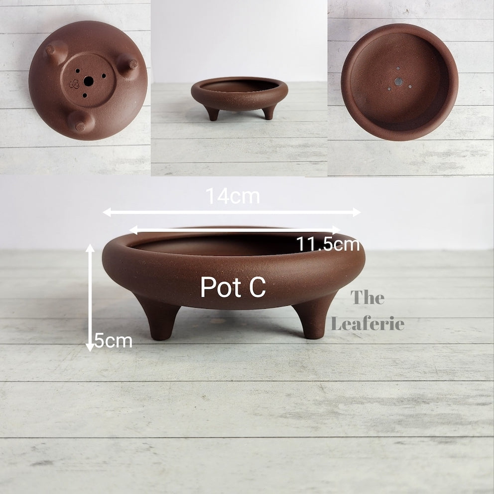 Petit Bonsai Tray / flowerpot (Series 4)