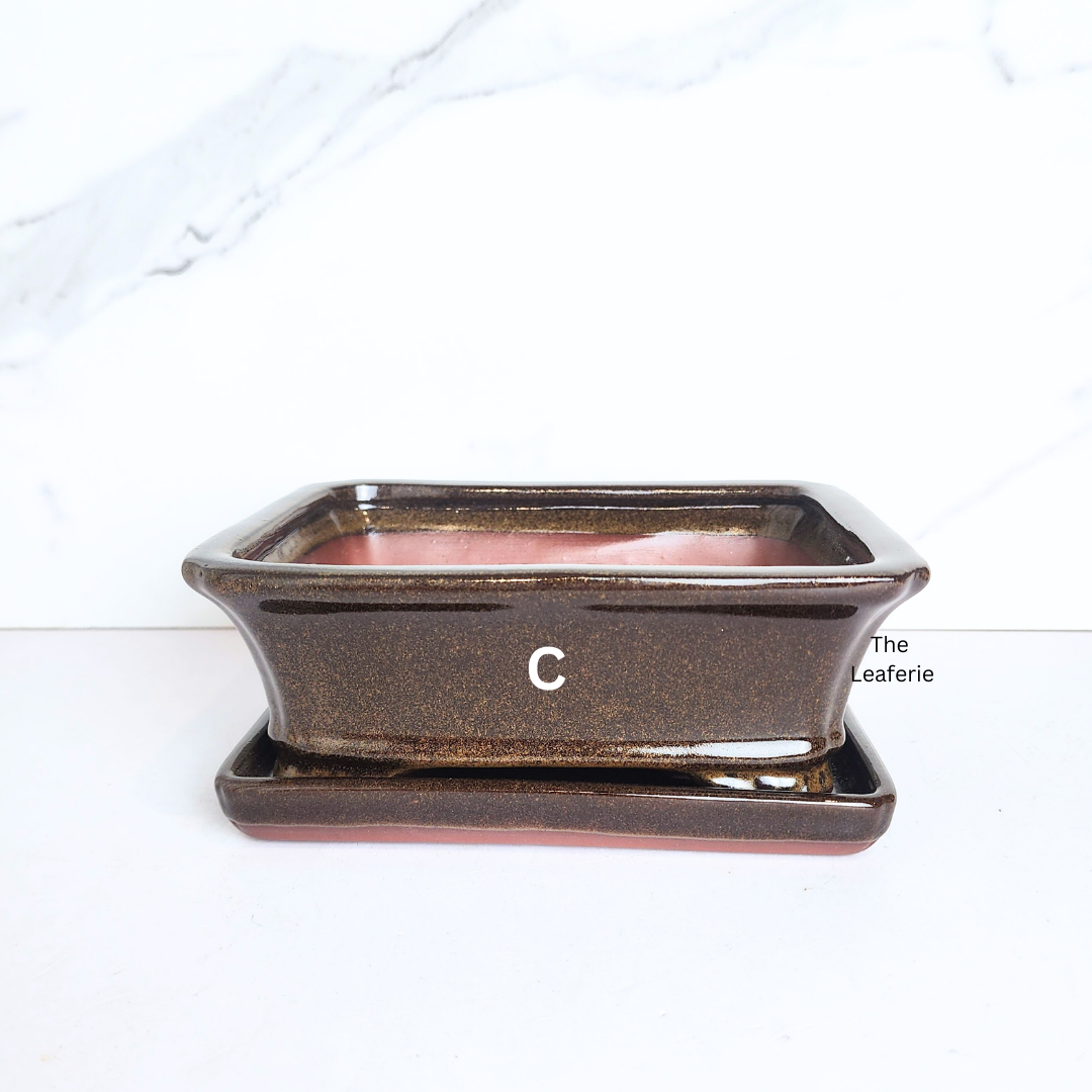 Bonsai Flowerpot (Series 40) with tray