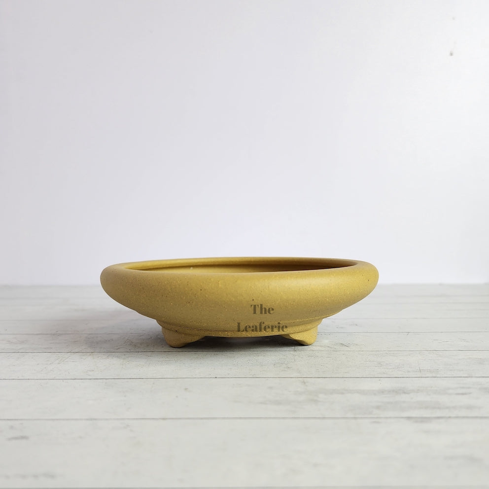 Petit Bonsai Tray / flowerpot (Series 4)