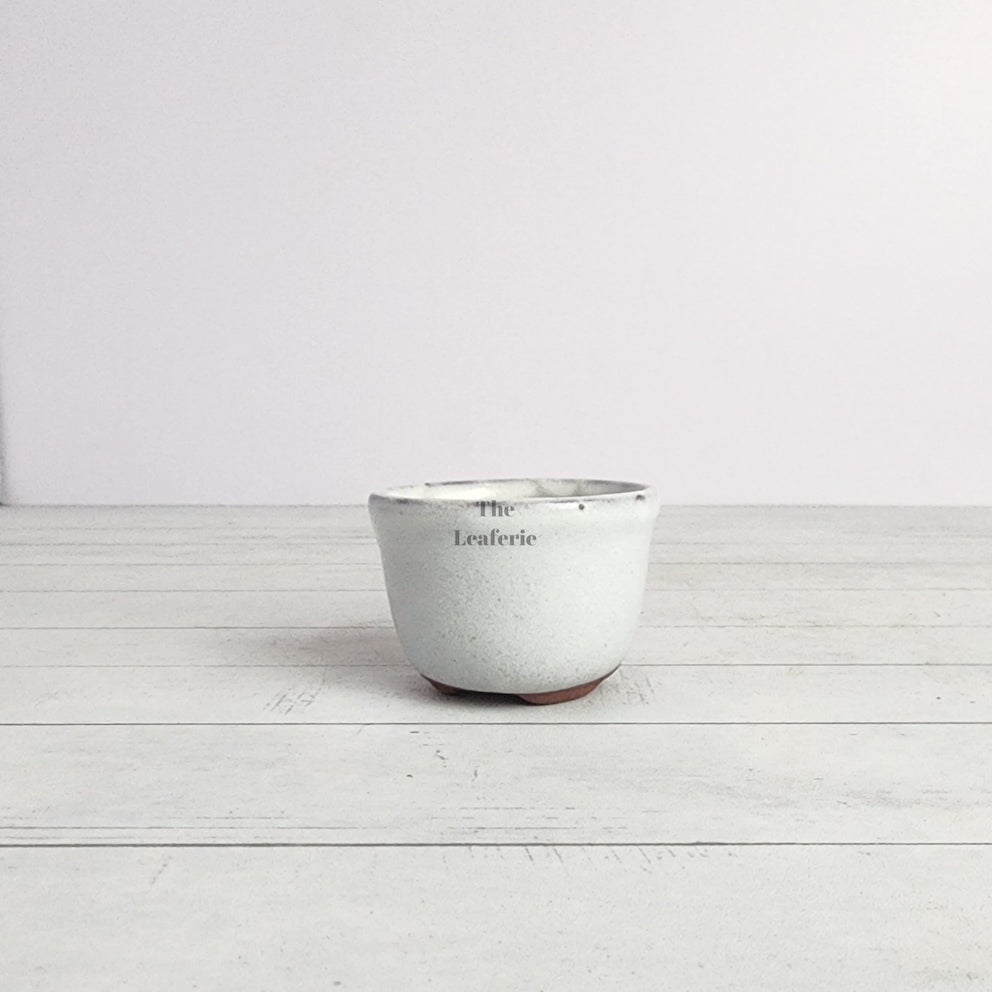 Petit Bonsai Pot (Series 15)