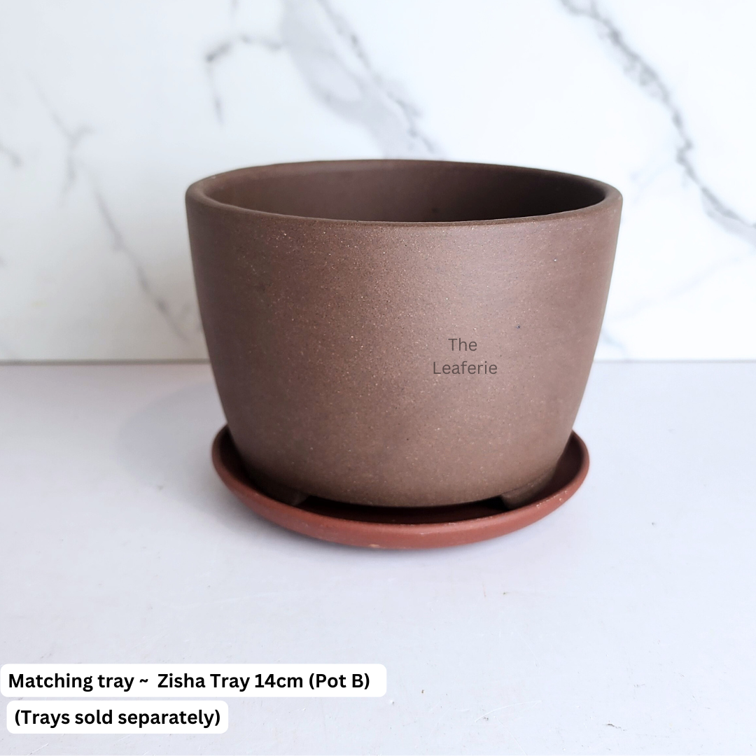 Bonsai Flowerpot (Series 68)