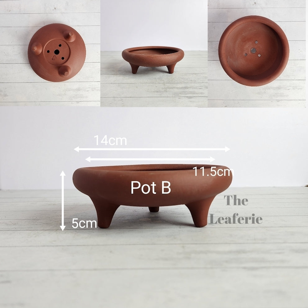 Petit Bonsai Tray / flowerpot (Series 4)
