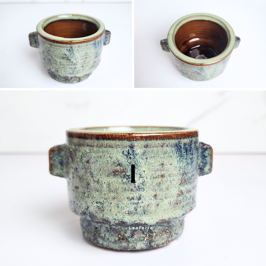 Petit Flowerpots (Series 17)