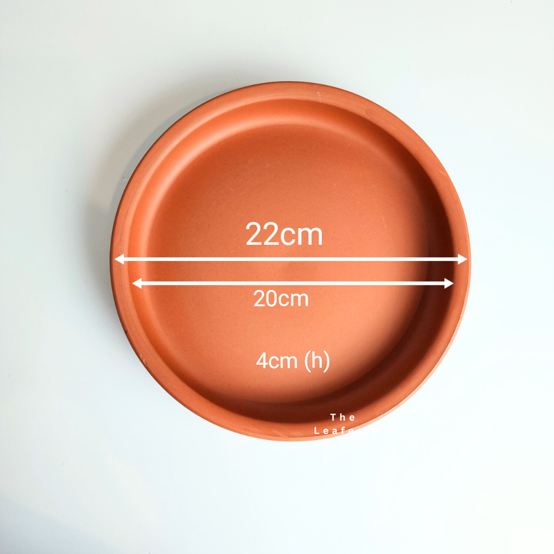 Zisha Deep Round Trays (6 sizes)