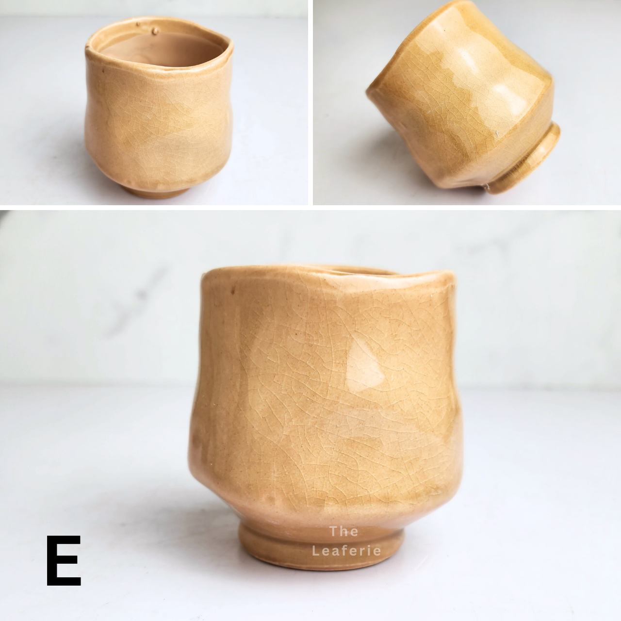 Petit Flowerpots (Series 18)