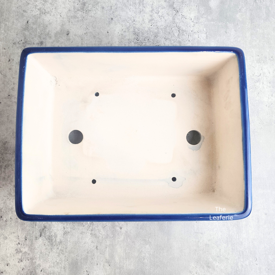 Bonsai Flowerpot (Series 61) Rectangular