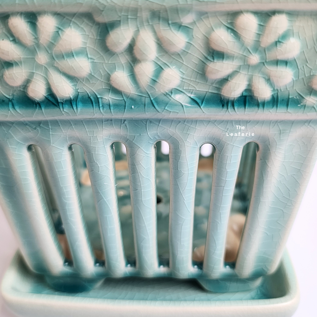 Leia Orchid Flowerpot with Tray (Series 2)