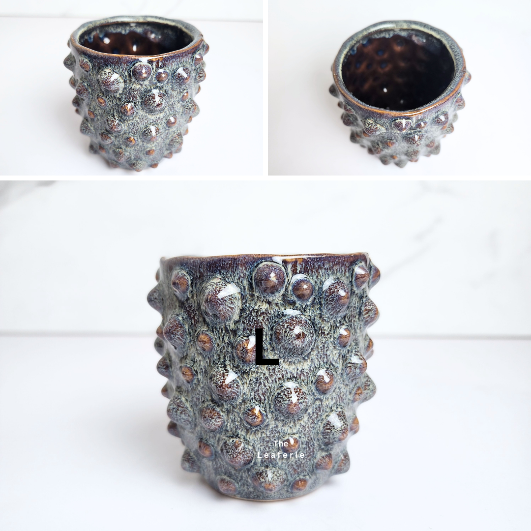 Petit Flowerpots (Series 17)