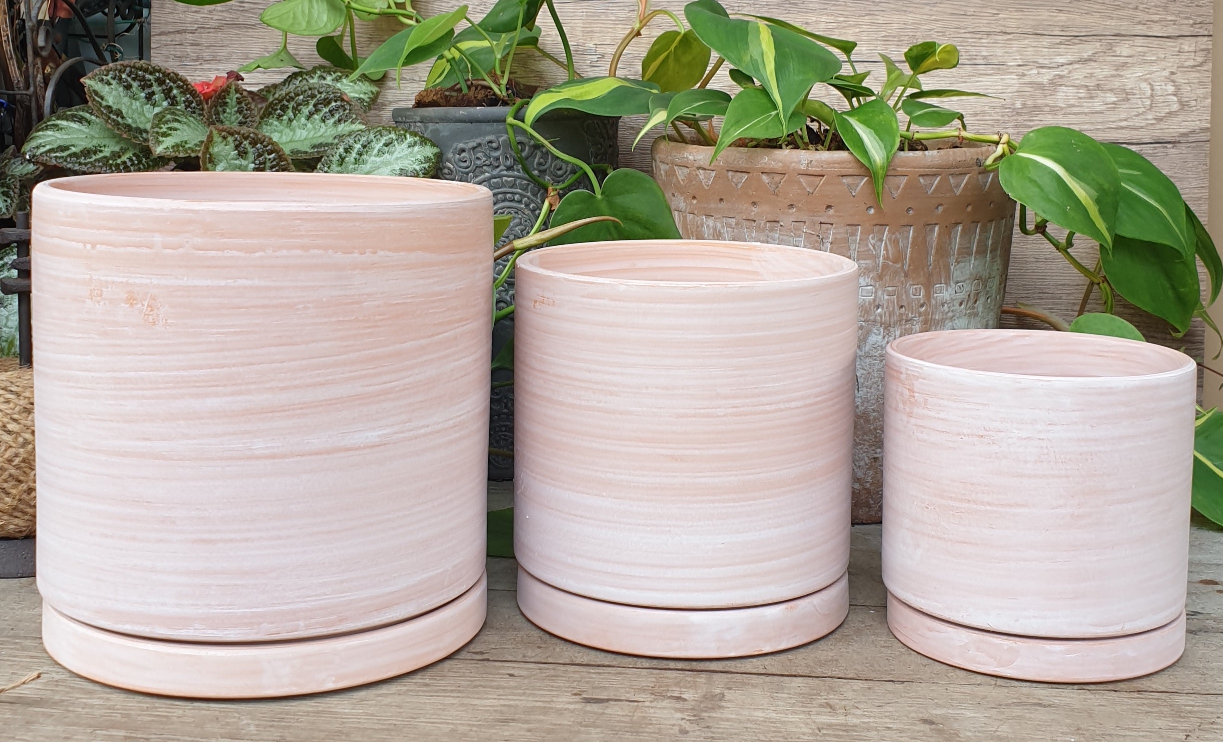 Terracotta D Flowerpot (3 sizes)