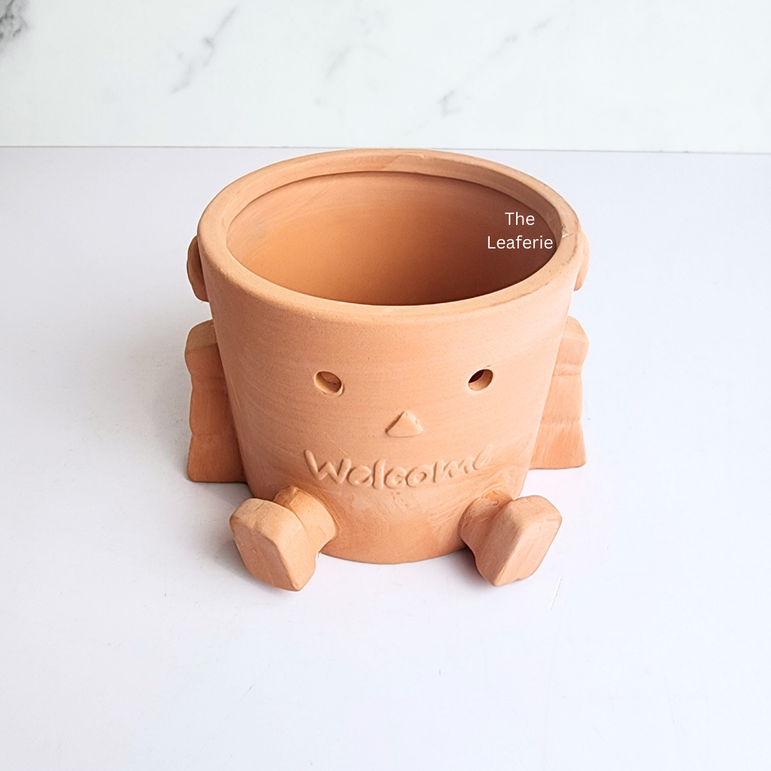 Yandel Terracotta Flowerpot ( 2 designs)