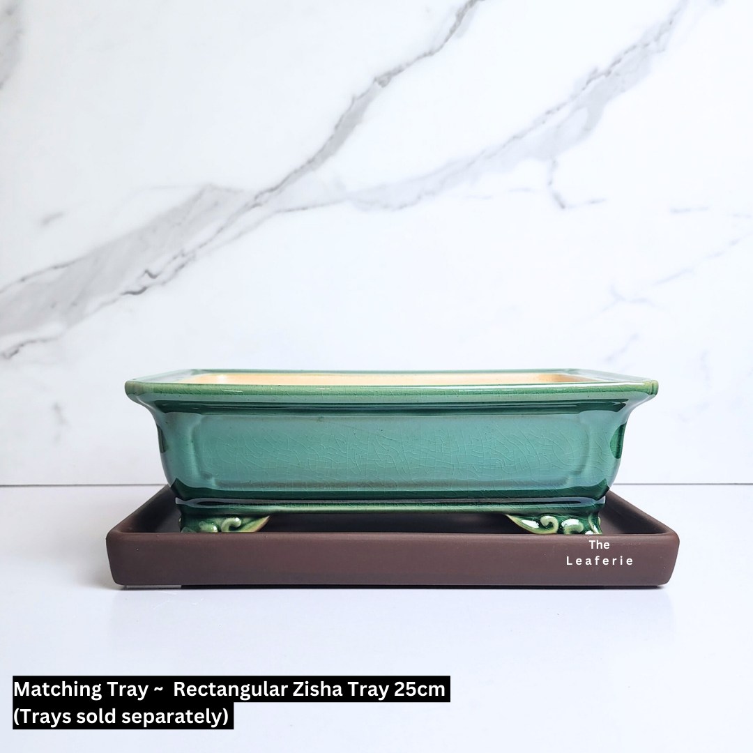 Bonsai Tally Flowerpot (Series 5) Rectangular