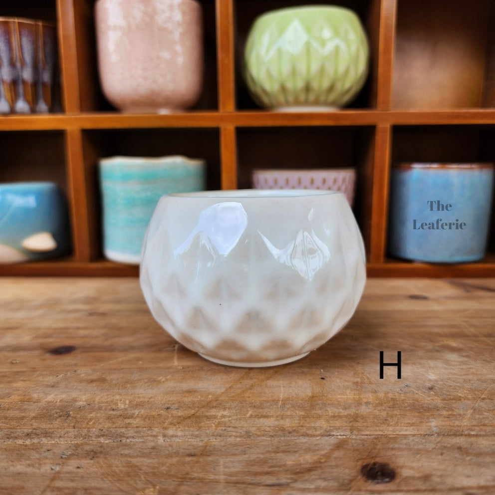 Petit Flowerpots (Series 6)