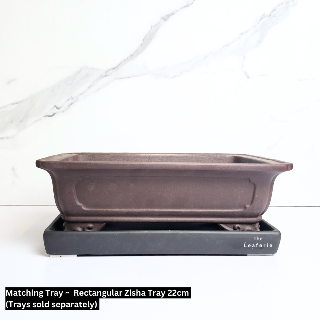 Bonsai Tally (Series 6) Rectangular Flowerpot