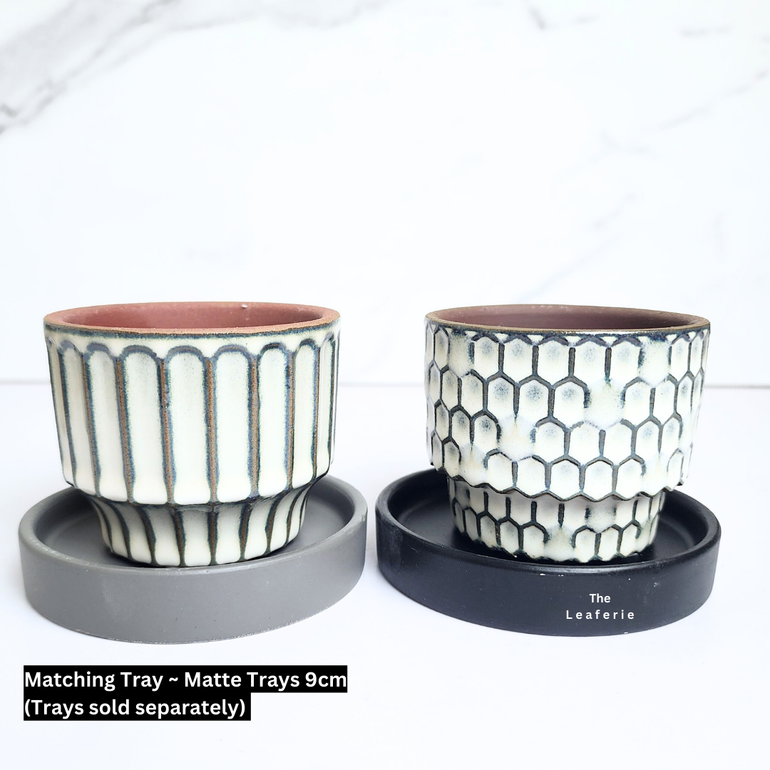 Petit Flowerpots (Series 17)