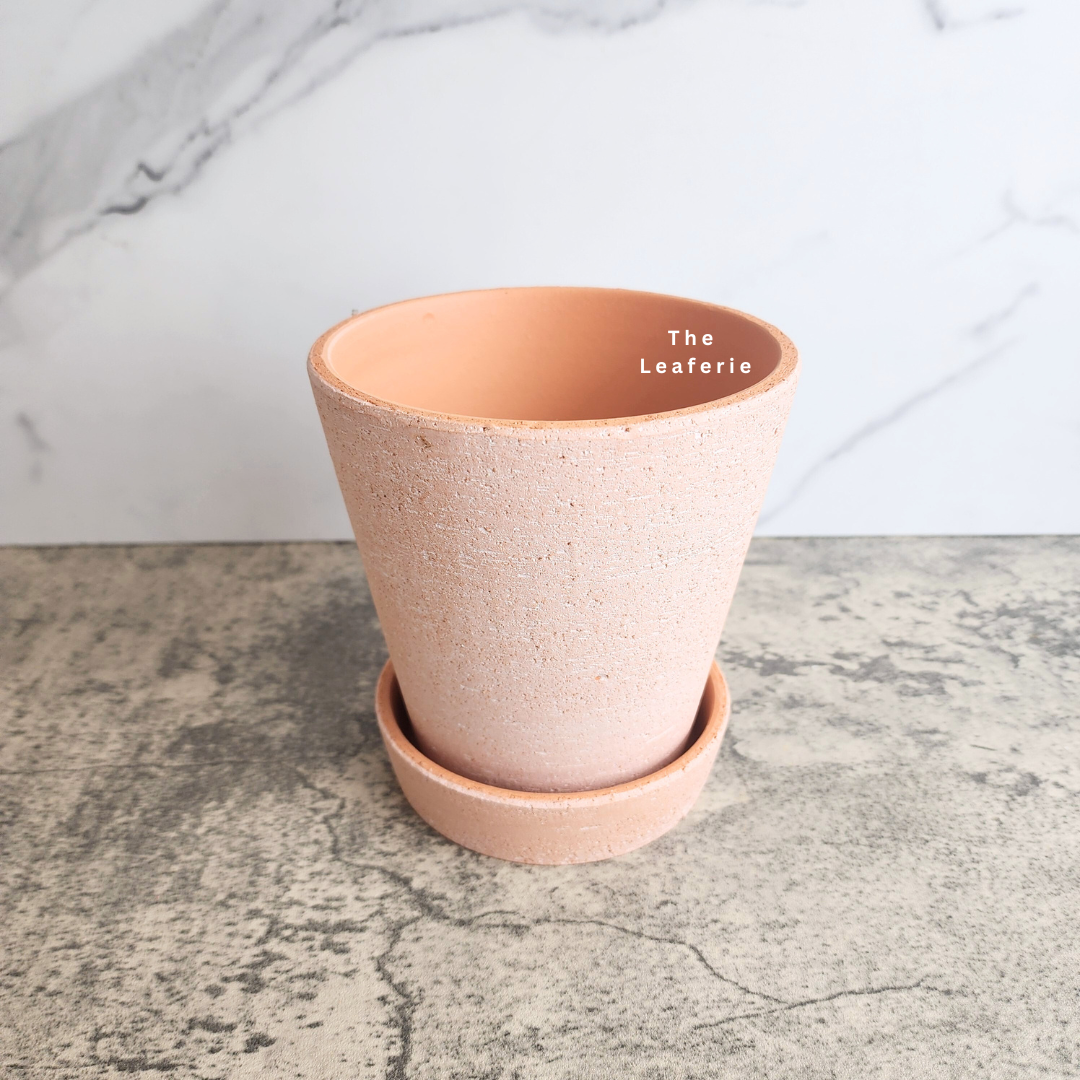 Yael Terracotta Flowerpot (3 sizes)