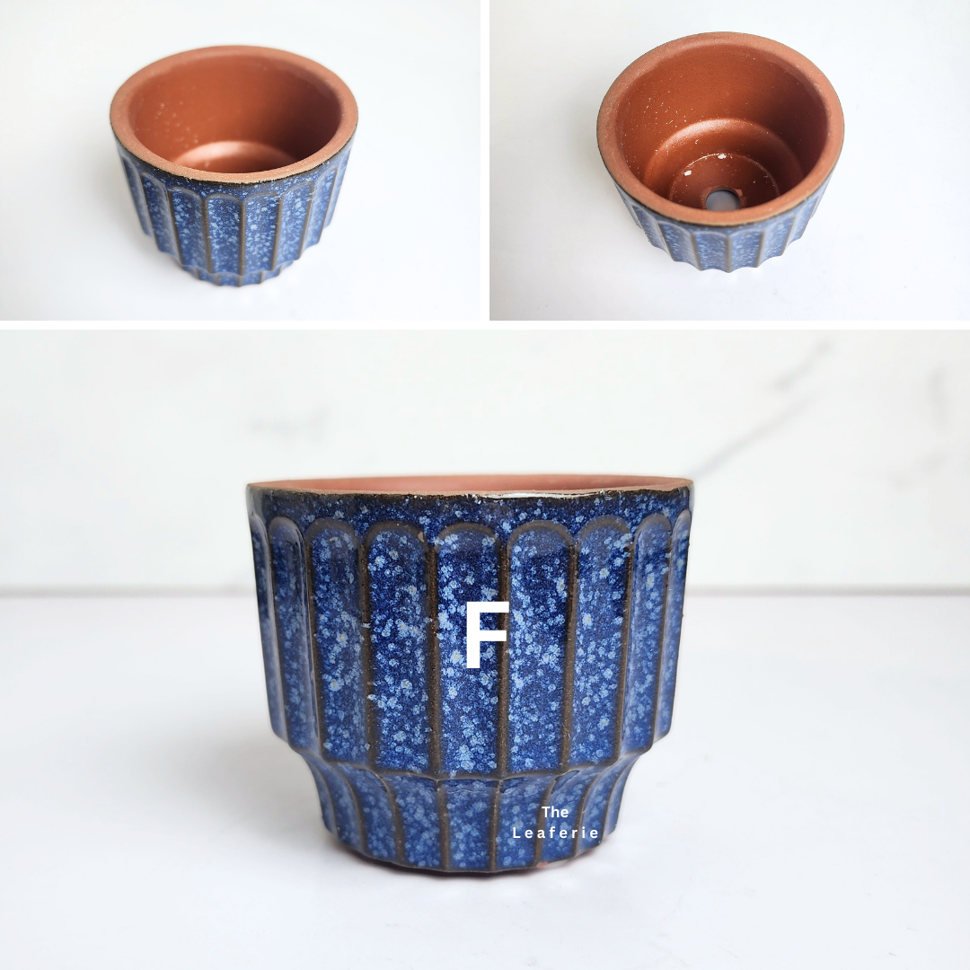 Petit Flowerpots (Series 17)