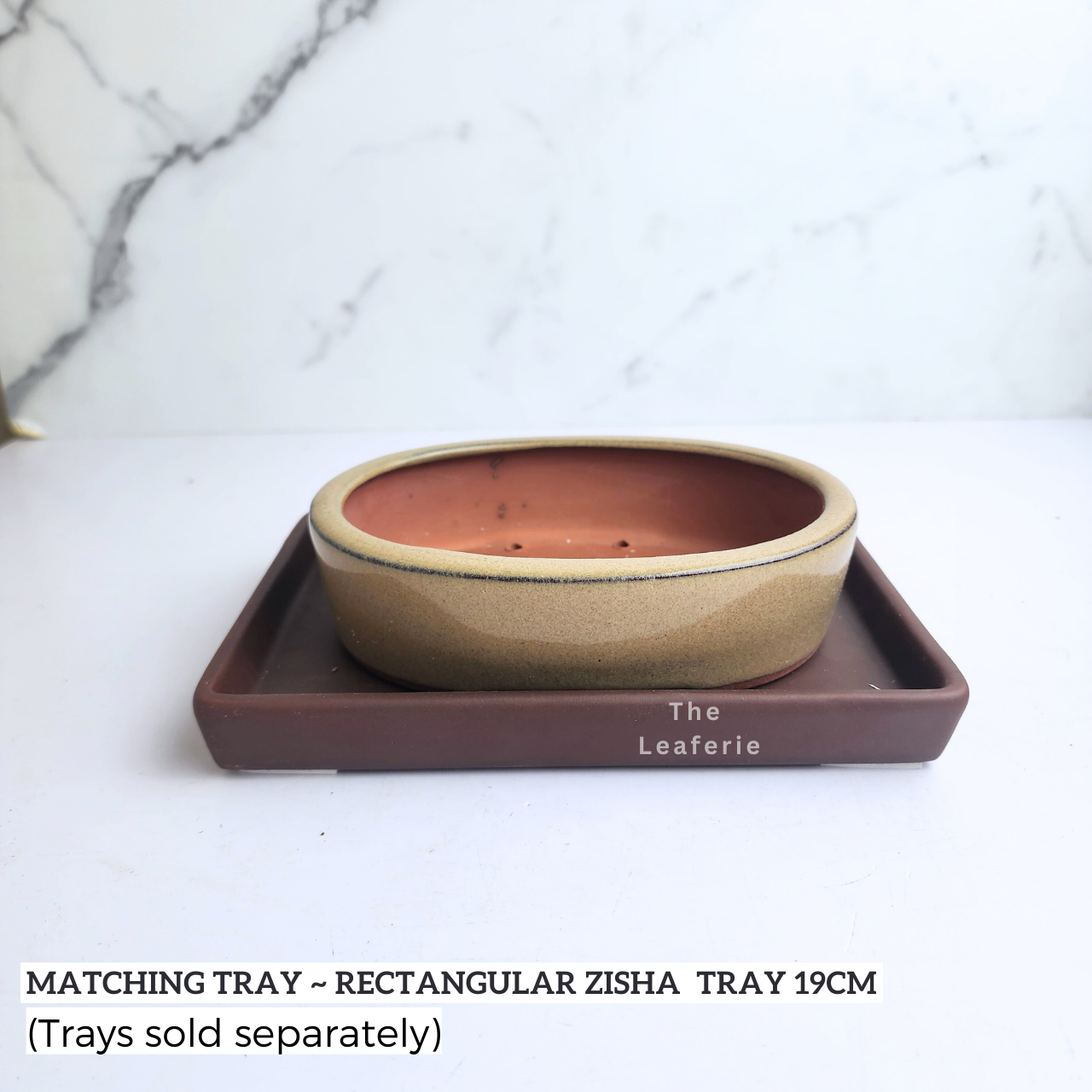 Petit Bonsai Pot (Series 14) Oval