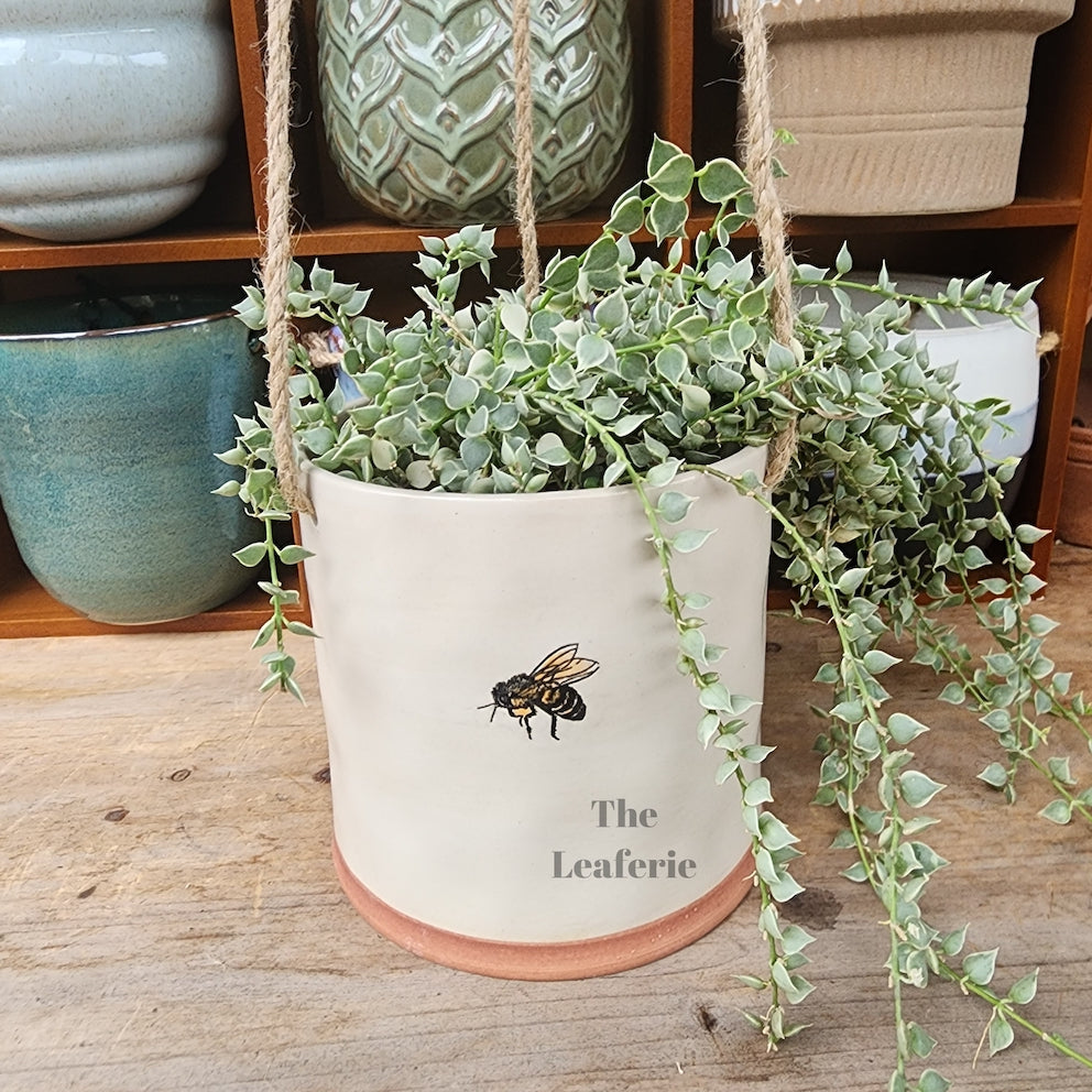 SKYLAR Collection Hanging Pots