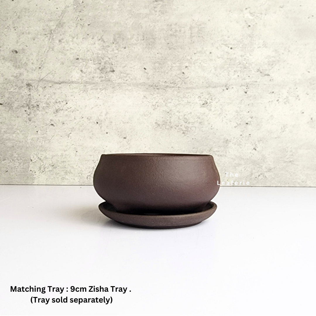 Bonsai Flowerpot (Series 30)