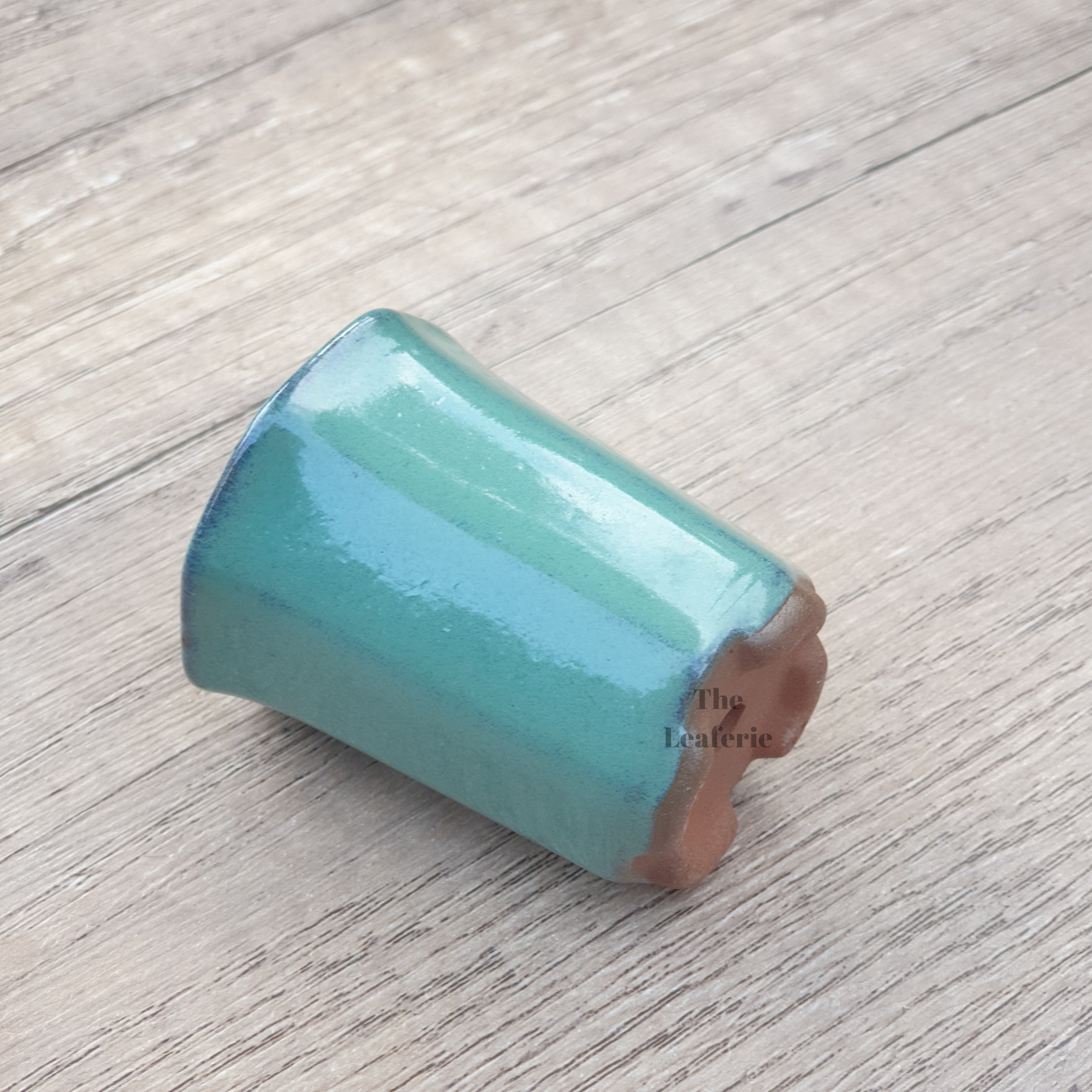 Petit Bonsai Pot (Series 7)