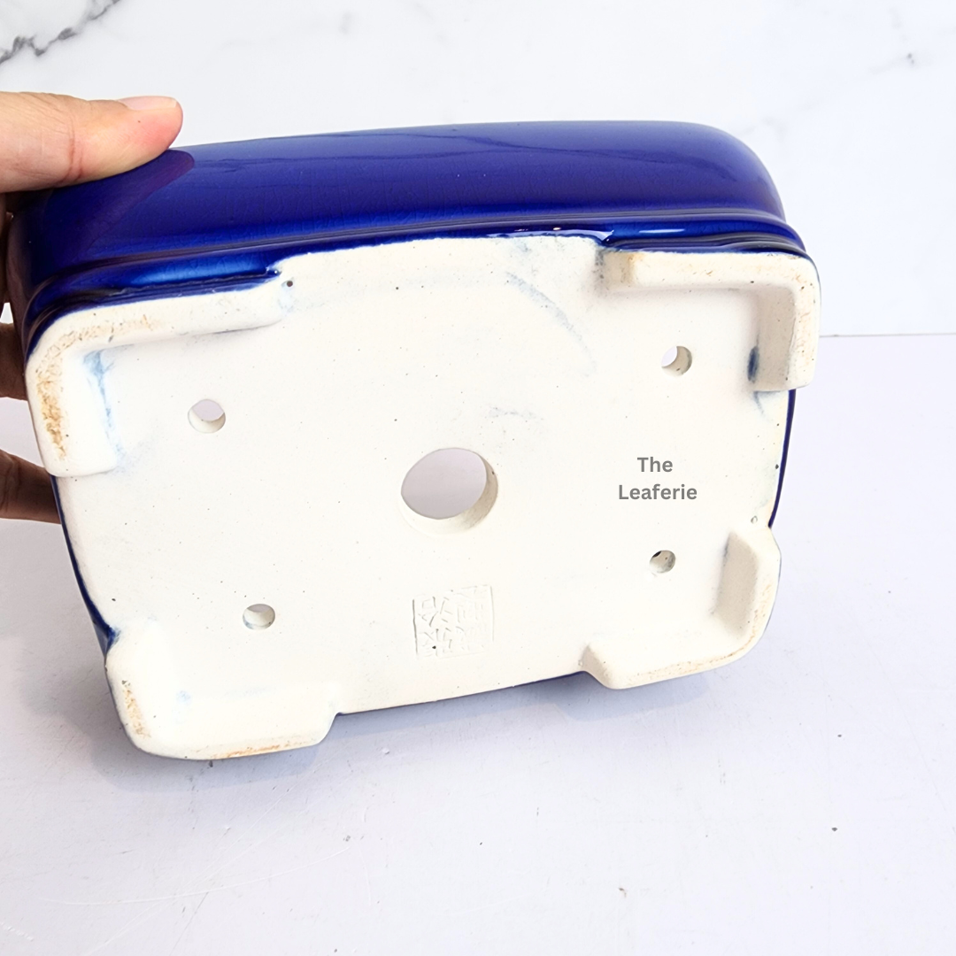 Bonsai Flowerpot (Series 66) Rectangular