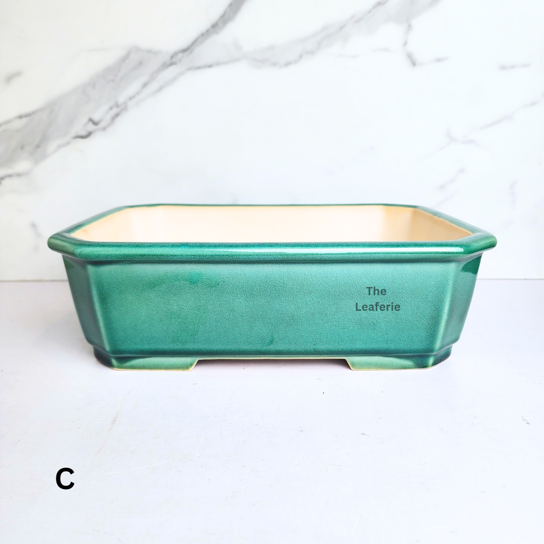 Bonsai Tally (Series 9) Flowerpot