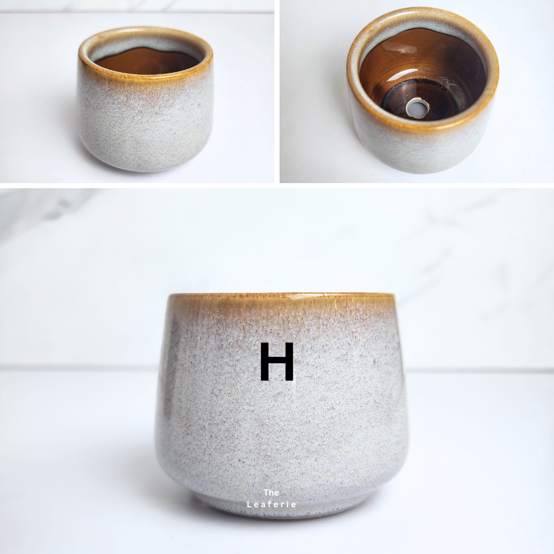 Petit Flowerpots (Series 14)