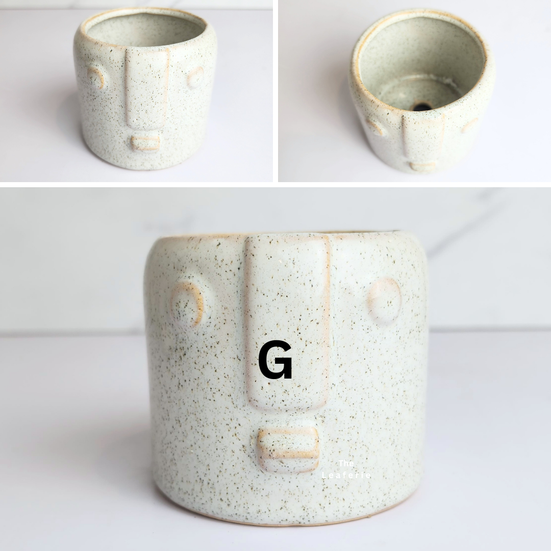 Petit Flowerpots (Series 13)