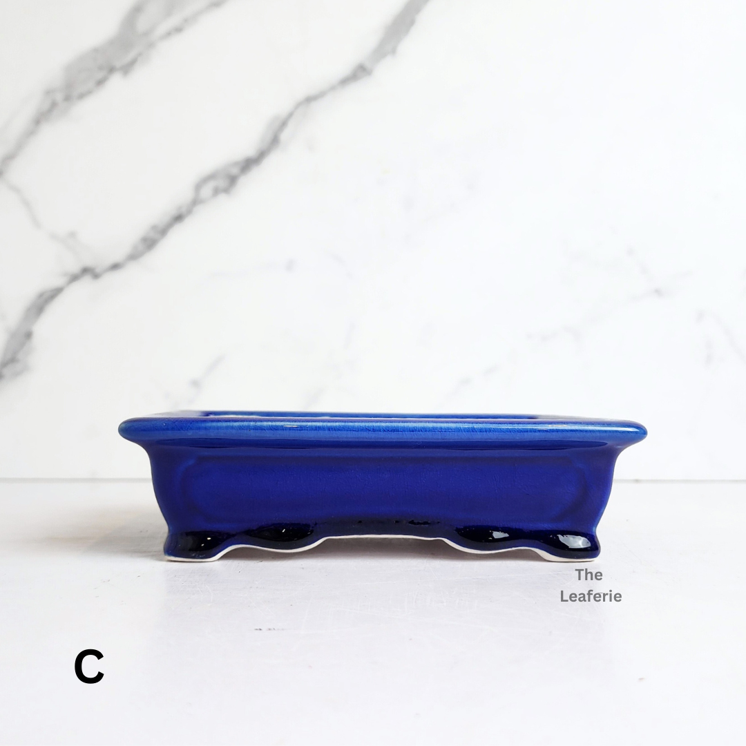 Bonsai Flowerpot (Series 67) Rectangular