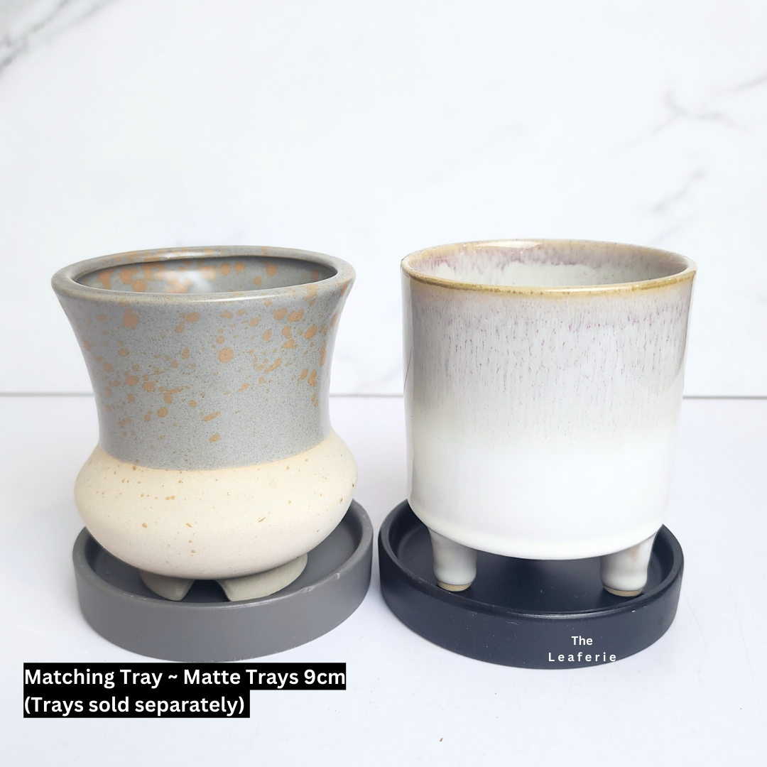 Petit Flowerpots (Series 14)