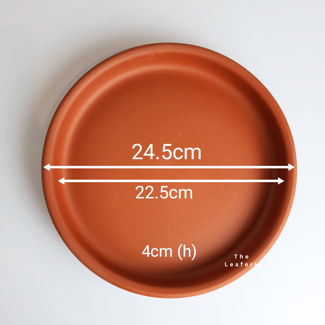 Zisha Deep Round Trays (6 sizes)