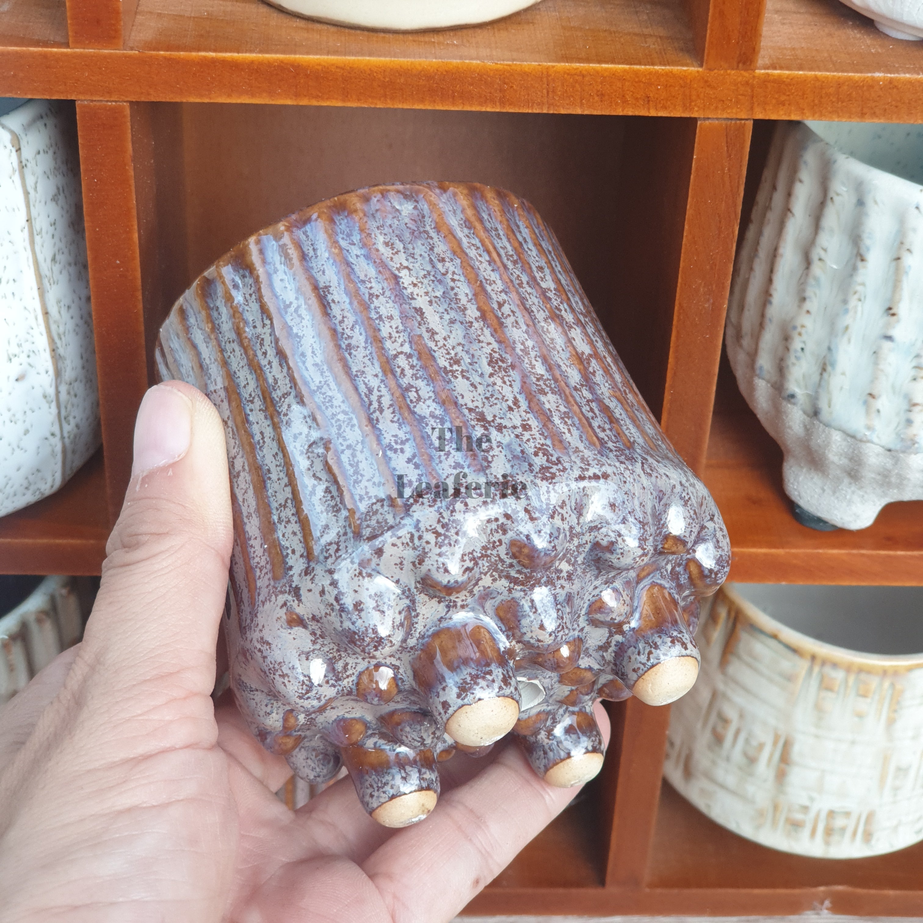 Petit Flowerpots (Series 2)