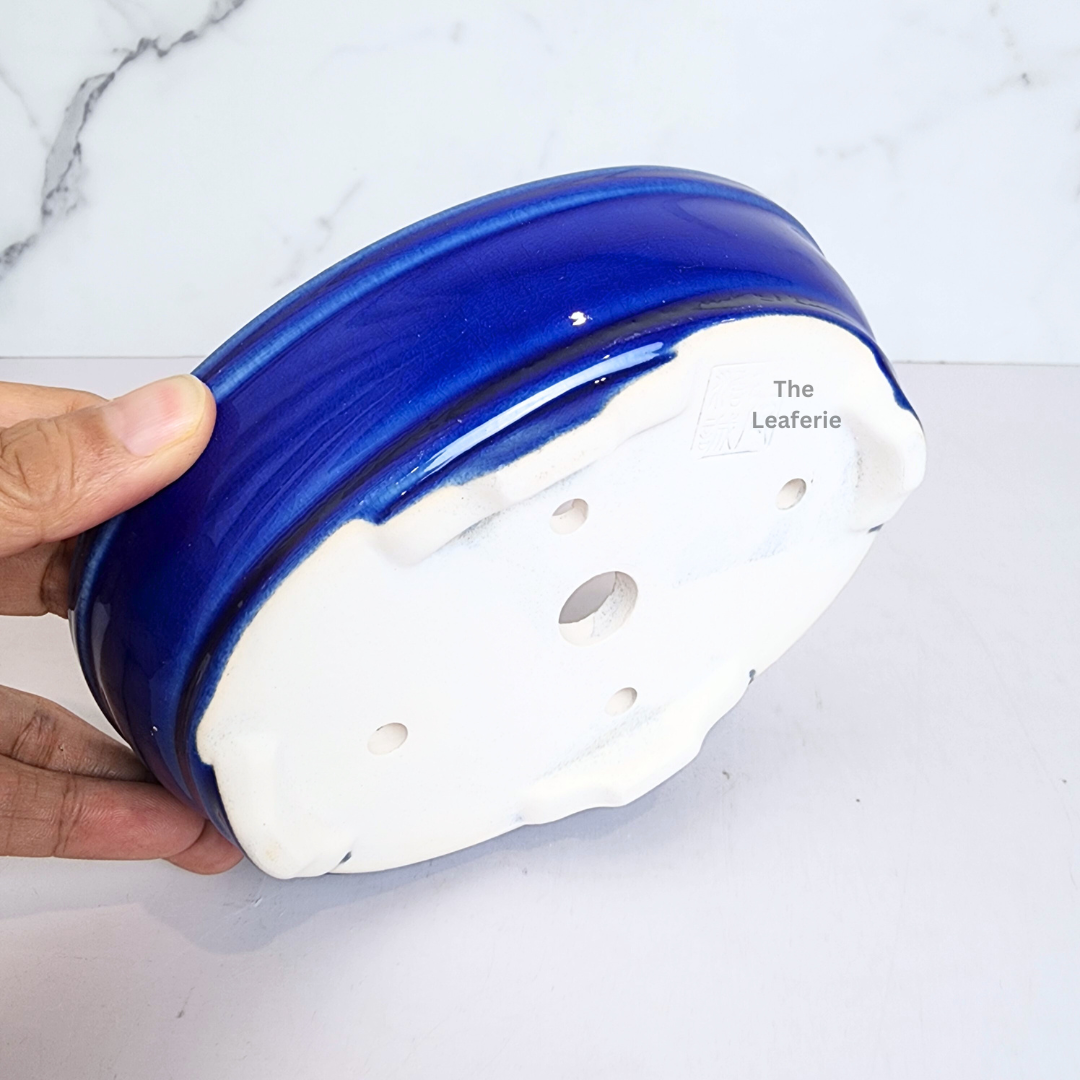 Bonsai Flowerpot (Series 63) Oval